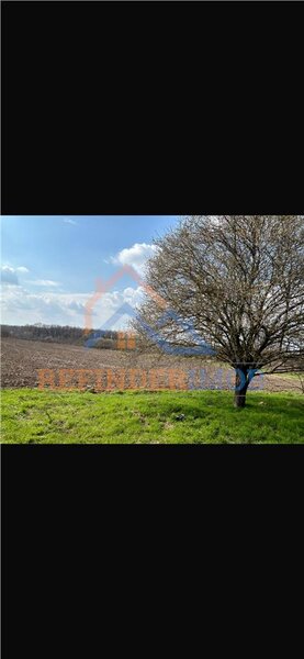 Bucsani, Giurgiu, teren 10.000 mp intravilan, agricol, oportunitate investitie