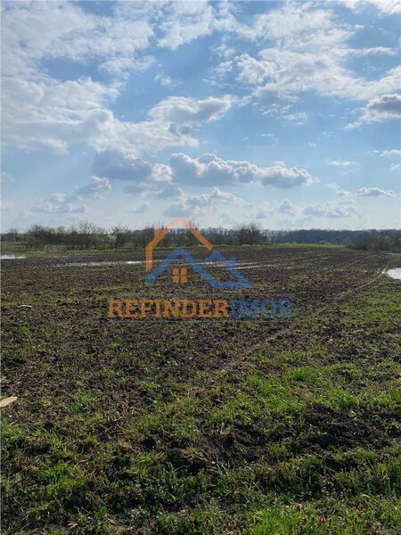 Bucsani, Giurgiu, teren 10.000 mp intravilan, agricol, oportunitate investitie