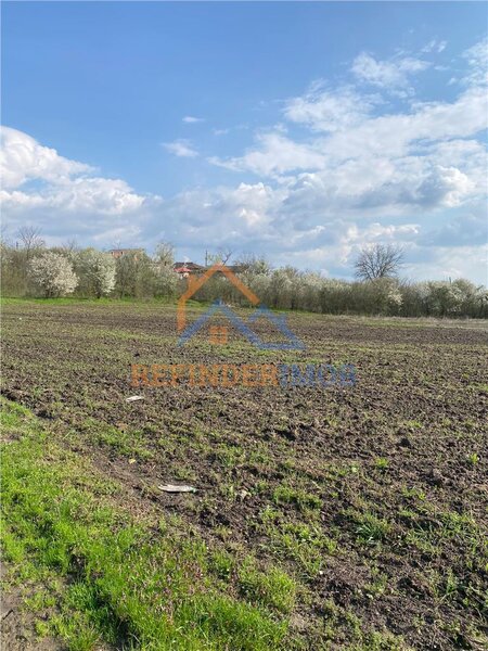 Bucsani, Giurgiu, teren 10.000 mp intravilan, agricol, oportunitate investitie