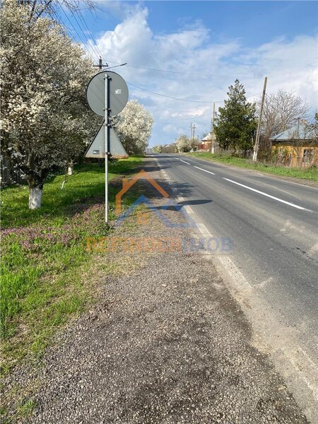 Bucsani, Giurgiu, teren 10.000 mp intravilan, agricol, oportunitate investitie