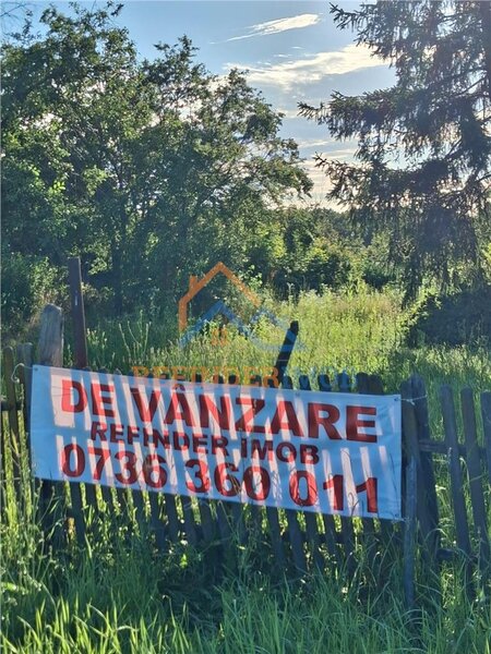 Bucsani, Giurgiu, teren 10.000 mp intravilan, agricol, oportunitate investitie