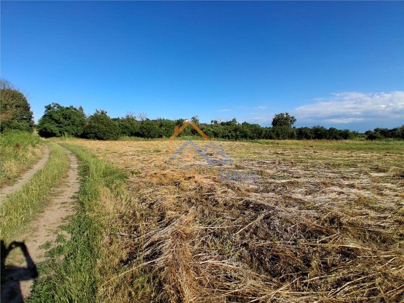 Bucsani, Giurgiu, teren 10.000 mp intravilan, agricol, oportunitate investitie