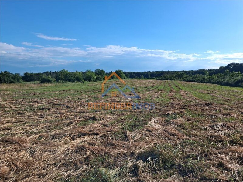 Bucsani, Giurgiu, teren 10.000 mp intravilan, agricol, oportunitate investitie