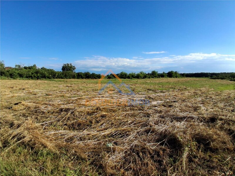 Bucsani, Giurgiu, teren 10.000 mp intravilan, agricol, oportunitate investitie