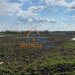 Bucsani, Giurgiu, teren 10.000 mp intravilan, agricol, oportunitate investitie