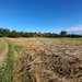 Bucsani, Giurgiu, teren 10.000 mp intravilan, agricol, oportunitate investitie