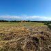 Bucsani, Giurgiu, teren 10.000 mp intravilan, agricol, oportunitate investitie